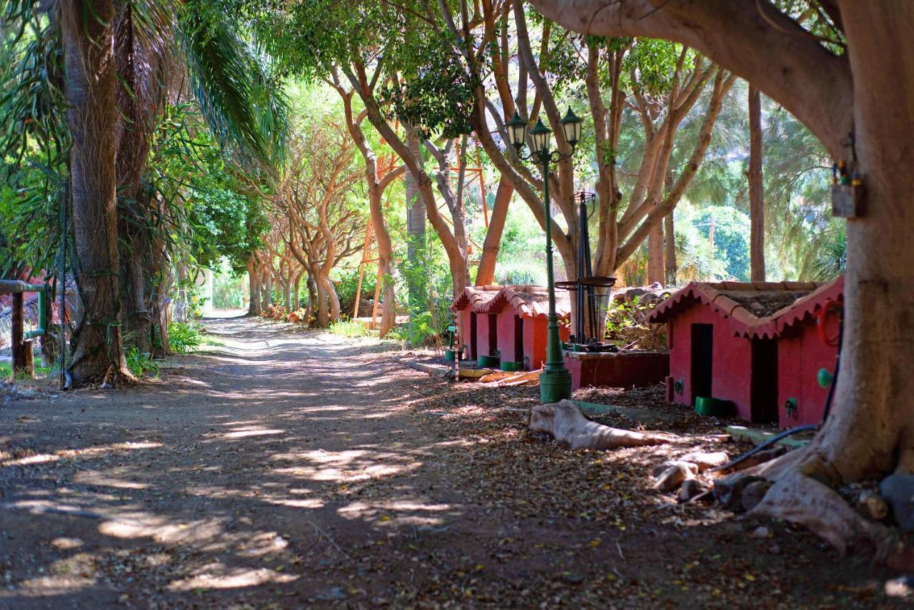 La Casa Del Molino De Viento Villa Agaete  Exterior foto